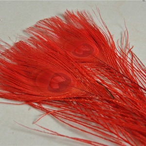 100 pcs red peacock feather for crafts hat decor Peacock Tail Eye Feathers for costumes decor