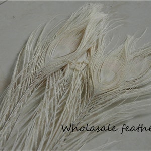 10 pcs off white  peacock feather for crafts hat decor Peacock Tail Eye Feathers for costumes decor