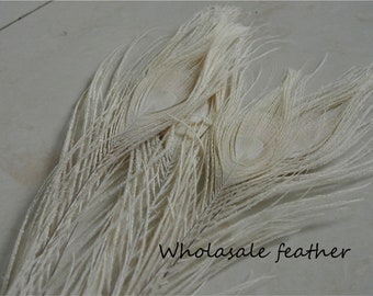 10 pcs off white  peacock feather for crafts hat decor Peacock Tail Eye Feathers for costumes decor