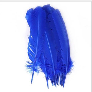 18 colors 50 pcs royal blue pheasant ringneck feather turkey rounds quill feather 10-12inch