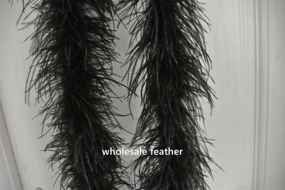 Black Ostrich Feather Trim 2 PLY