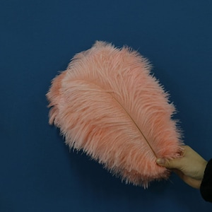 100 pcs champagne ostrich feather plumes for wedding centerpieces wedding decor party event supply