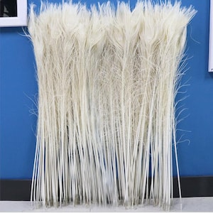 20 pcs off white 30-35inch peacock feather peacock feathers for crafts hat decor