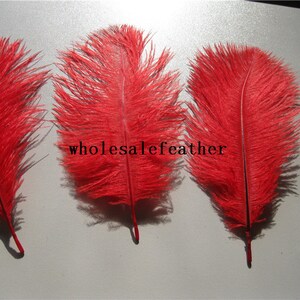 50 Pcs Red Ostrich Feather Plume for Wedding Centerpiece - Etsy