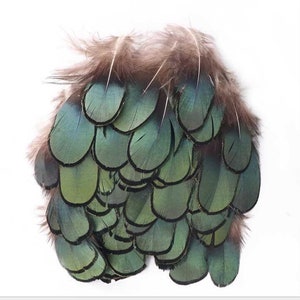 50 pcs lady amherst pheasant tail feathers green tip pheasant feather 2inch