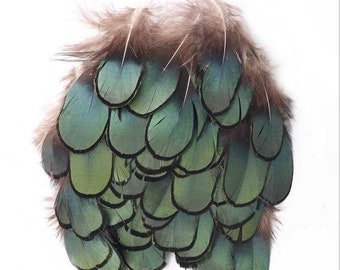 50 pcs lady amherst pheasant tail feathers green tip pheasant feather 2inch