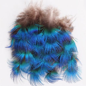 20 pcs peacock tail feathers blue tip peacock feather 2inch