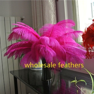100 pcs caldo rosa fucsia pennacchi piuma di struzzo per matrimoni centerpezzi arredamento matrimonio