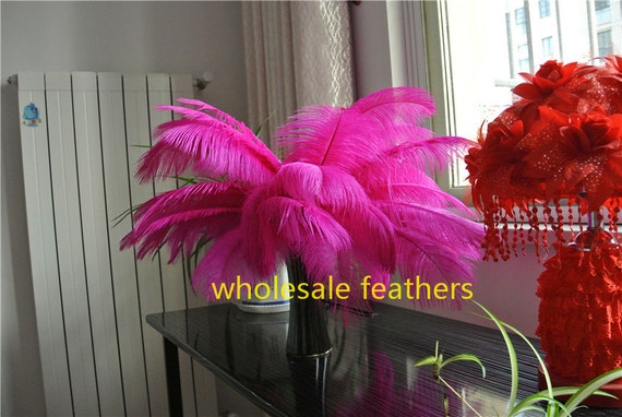 Fuchsia ostrich feathers deals