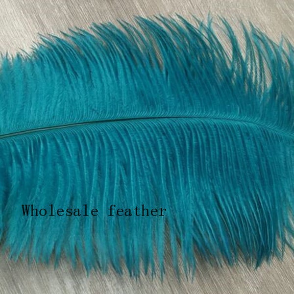 Feather Decor - Etsy