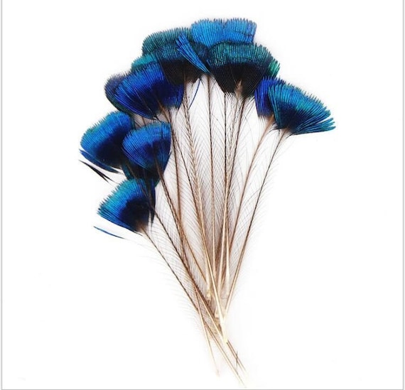  10Pcs Hat Feathers, Natural Feathers Peacock Feathers