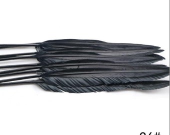 May include: A bunch of black feathers, arranged in a row, with the tips of the feathers pointing to the right. The feathers are all the same size and shape, and they have a soft, velvety texture. The feathers are arranged in a way that suggests they are ready to be used for crafting or decorating.
