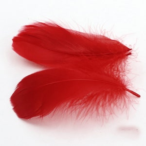 24 colors 100 pcs burgundy wine red GOOSE feathers loose 3-5 inch (8-13cm)