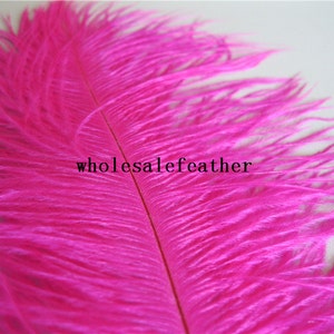 50 Pcs Hot Pink Ostrich Feather Plume for Wedding Centerpiece - Etsy