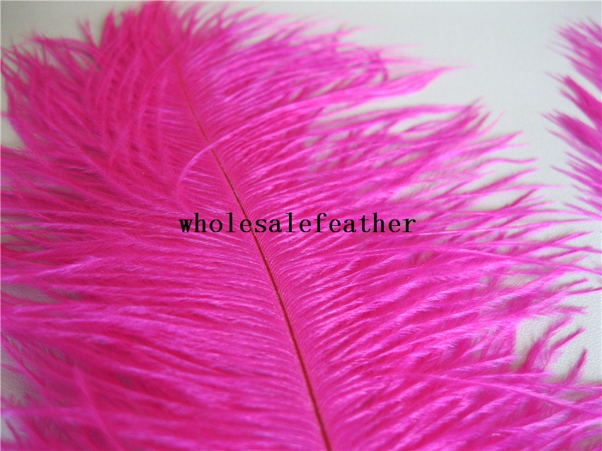 50 pcs Hot Pink ostrich feather plume for wedding centerpiece | Etsy