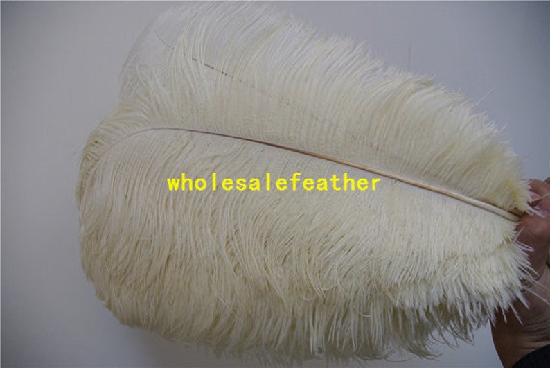 100 pcs Ivory ostrich feather plumes for wedding centerpieces wedding decor party supply prom supply image 2