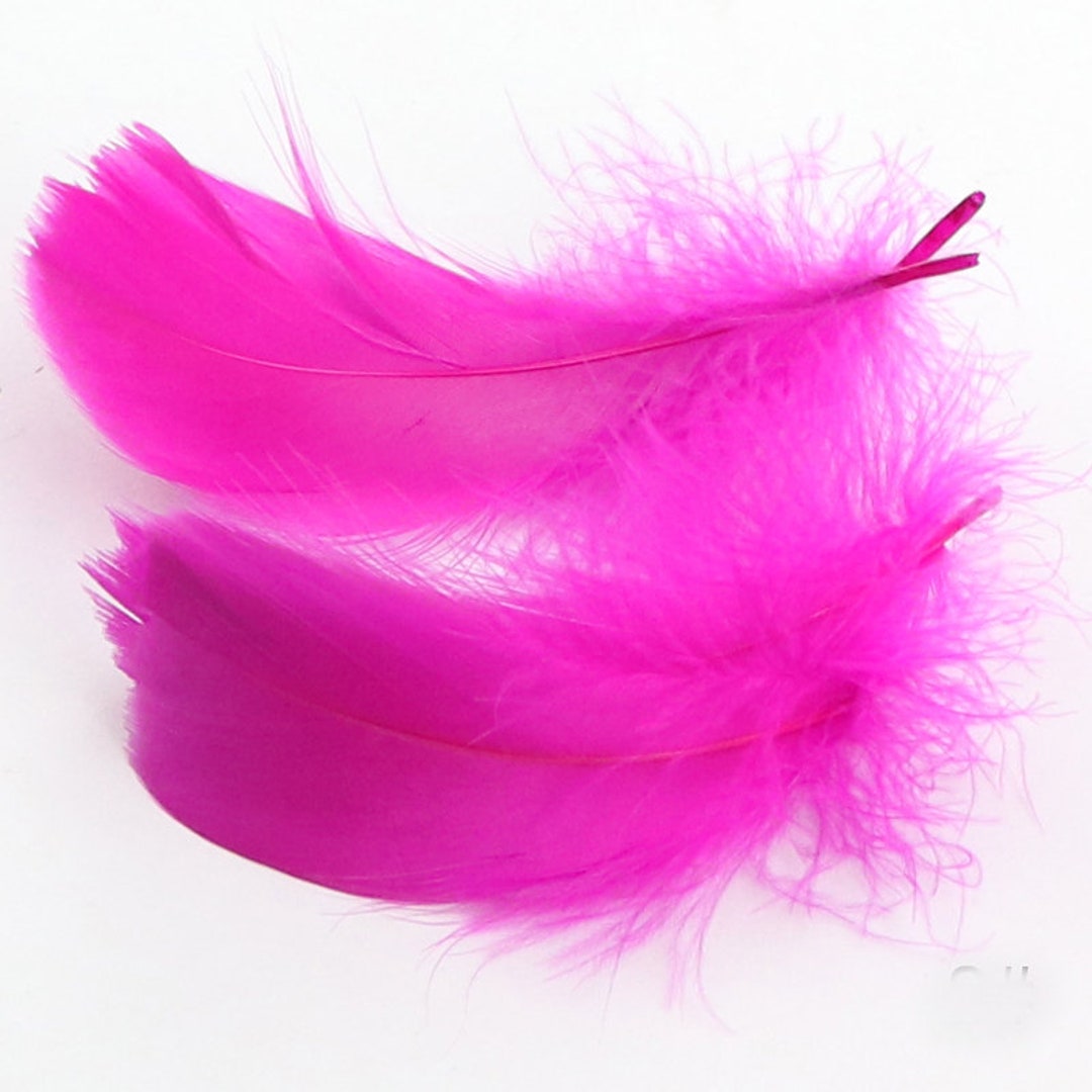 50pcs White & Black & Pink Goose Feathers 15-20cm Natural Feather