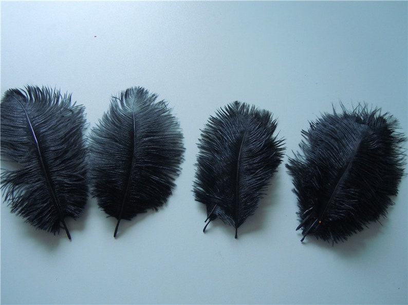 100 pcs black ostrich feather plumes for wedding centerpieces wedding decor party event supply image 3