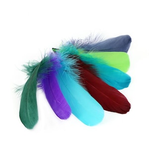 100 pcs GOOSE feathers loose for craft supply 4-7 inch (13-18cm)