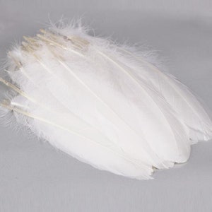 White Goose Feathers, 1 Pack WHITE Goose Satinettes Loose Feathers