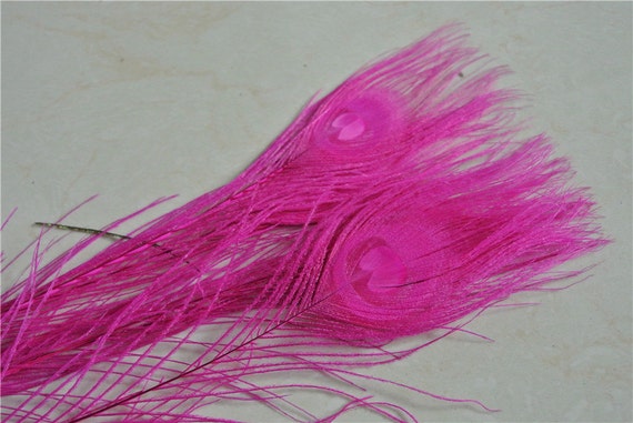 Small Hot Pink Peacock Feather