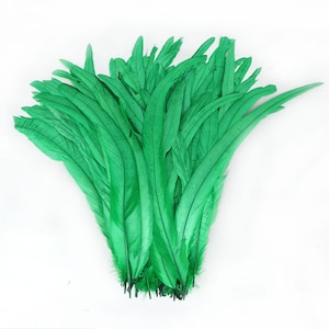 100 pcs kelly green Coque rooster tail feather loose for feather halloween costume decor
