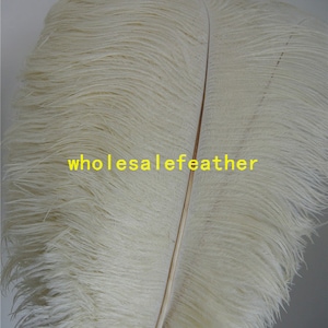 100 pcs Ivory ostrich feather plumes for wedding centerpieces wedding decor party supply prom supply image 1