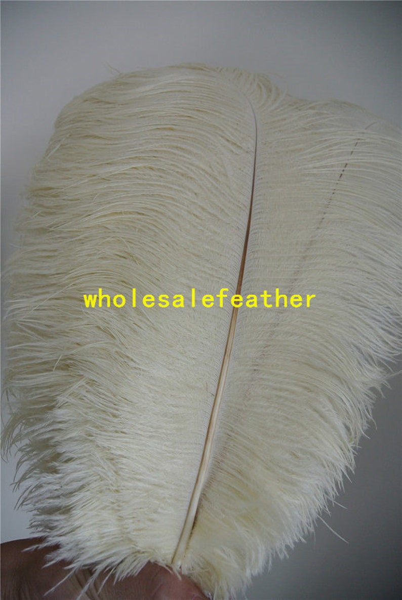 100 pcs Ivory ostrich feather plumes for wedding centerpieces wedding decor party supply prom supply image 1