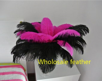 May include: A bunch of black and pink ostrich feathers arranged in a vase. The text "Wholesale feather" is visible in the image.