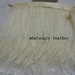 see more listings in the ostrich feather trim section