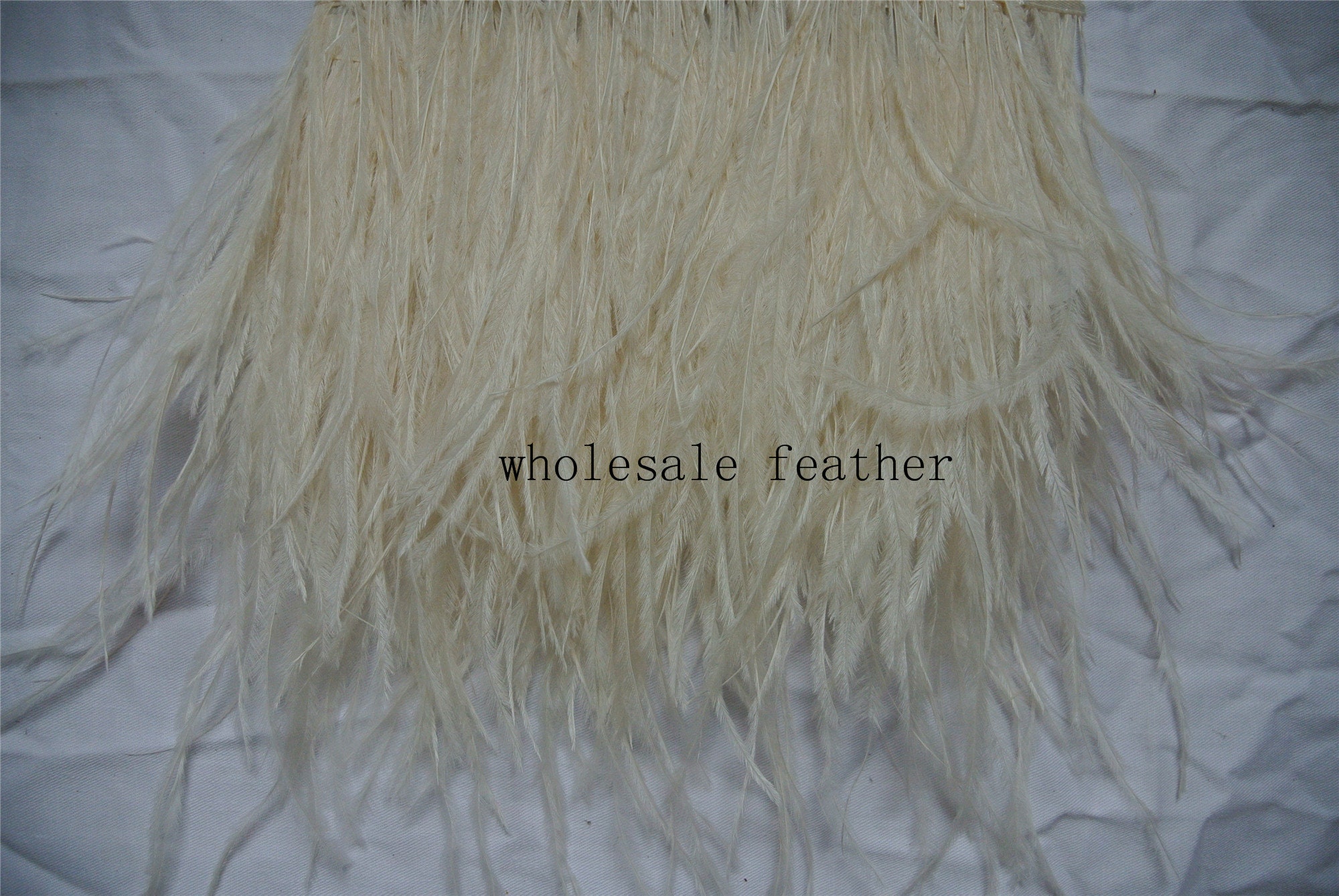 Ivory Ostrich Feathers, 1 Yard Ivory Ostrich Fringe Trim Wholesale