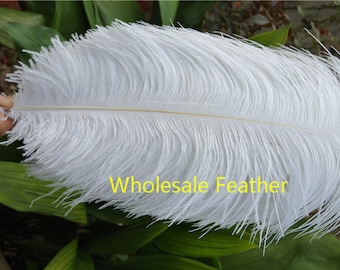 May include: A single white ostrich feather with a long, thin shaft. The feather is soft and fluffy, with a delicate texture. The feather is approximately 18 inches long.