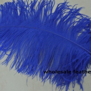 22 colors 30 pcs 24-25inch royal blue big ostrich feather plumes