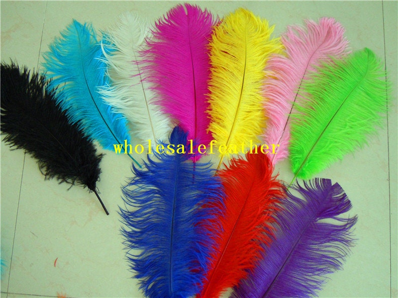 Blue and Feathers Too! Pink