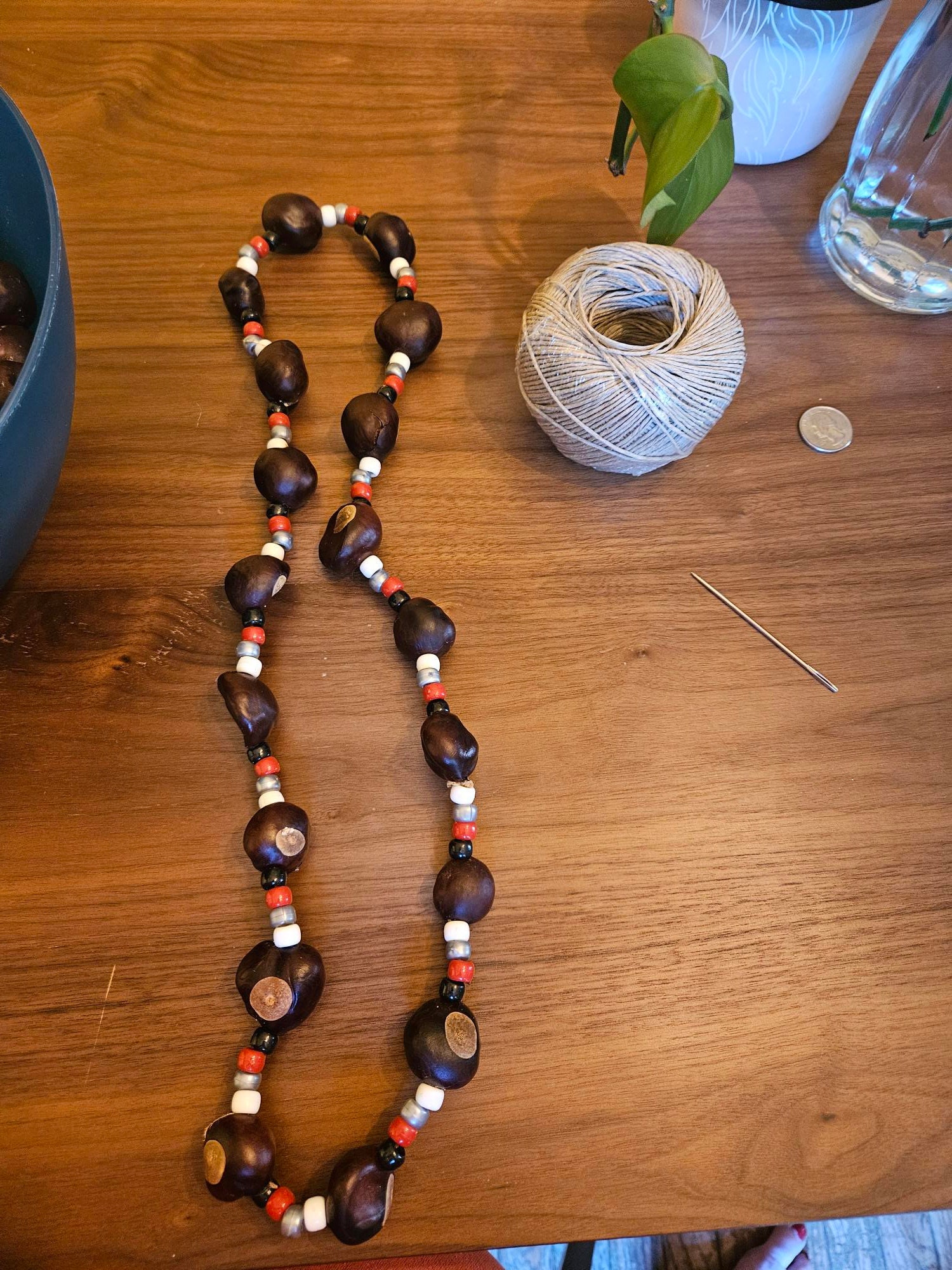 Real Buckeye Tree 25 Pre Drilled Buckeyes for Crafting / OSU Fans Etsy