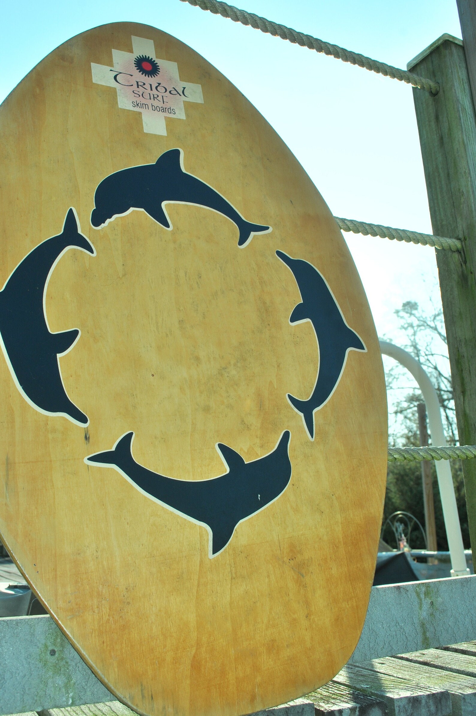 Skim board TRIBAL SURF Dolphins arte de la pared decoración Etsy