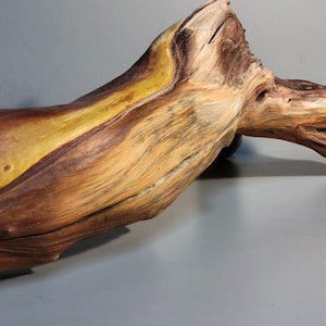 Organic shaped wood art oddity display. Unfinished, natural Manzanita wood sculpture Found objects