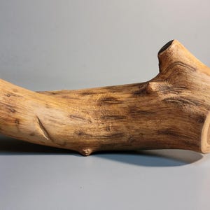 Organic shaped wood art oddity display. Unfinished, natural Elm wood sculpture Found objects
