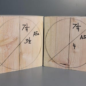 Bowl Blanks For woodworking, woodturning, Sycamore. Two Green wood blanks