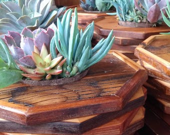 12 inch Low Profile Centerpiece  Natural Wood Geometric Shape