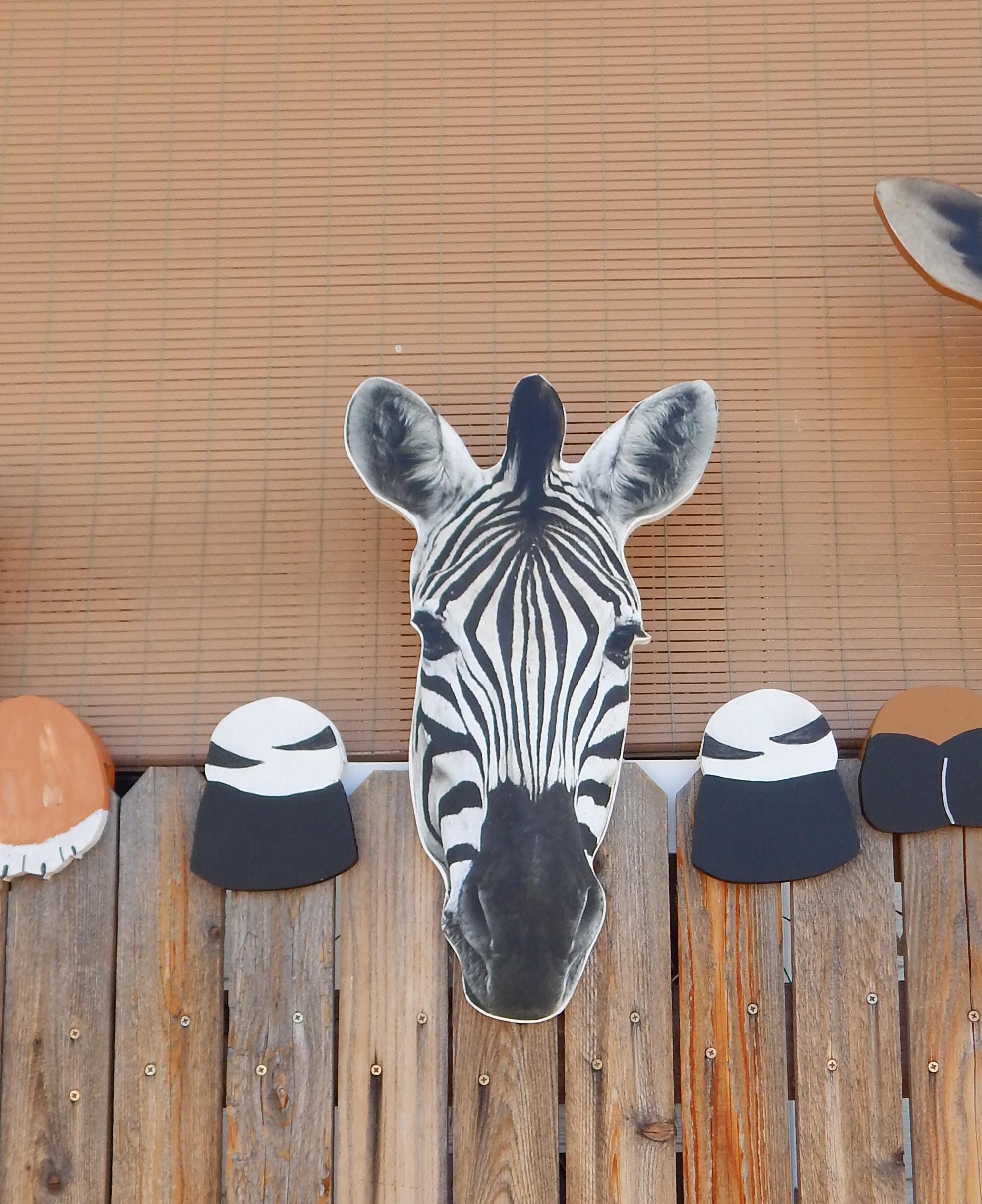 Zebra Fence Peeker Decorative Wild Animal Sign Yard Art 21 X 20 - Etsy