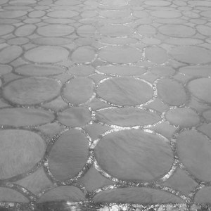 May include: A close-up of a gray and white textured surface with a pattern of overlapping circles. The circles have a silver metallic outline.