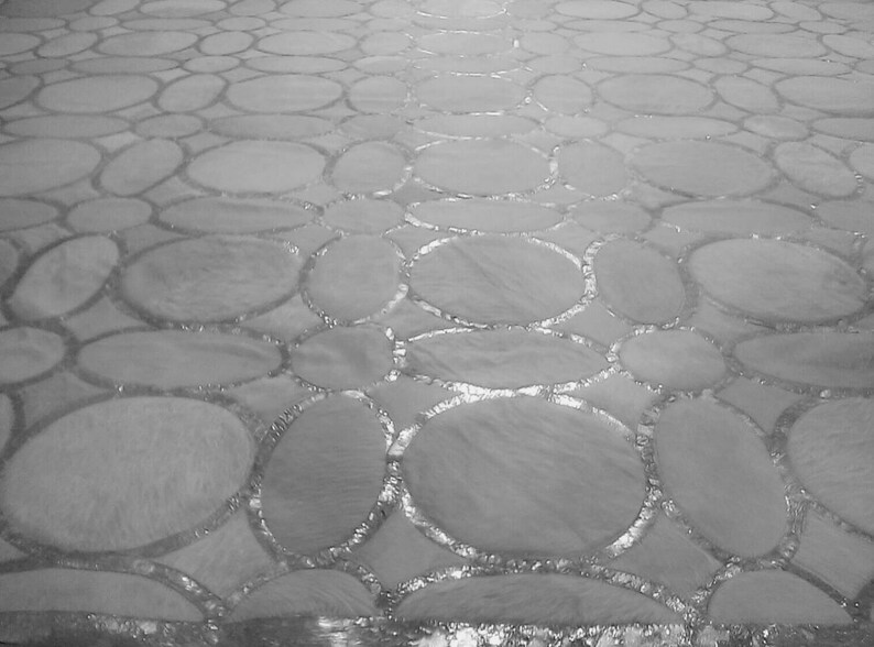 May include: A close-up of a gray and white textured surface with a pattern of overlapping circles. The circles have a silver metallic outline.