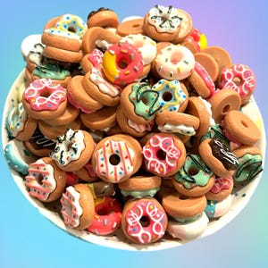 1/2 Dozen MYSTERY Donut magnets
