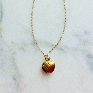 Collar de manzana de oro, regalo del profesor, collar moderno simple delicado, collar de manzana minimalista, manzana llena de oro, collar de todos los días
