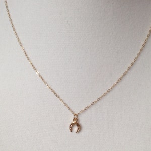 Tiny horseshoe necklace, tiny jewelry, horseshoe necklace, horse necklace, minimalist necklace, delicate gold necklace, dainty necklace image 3