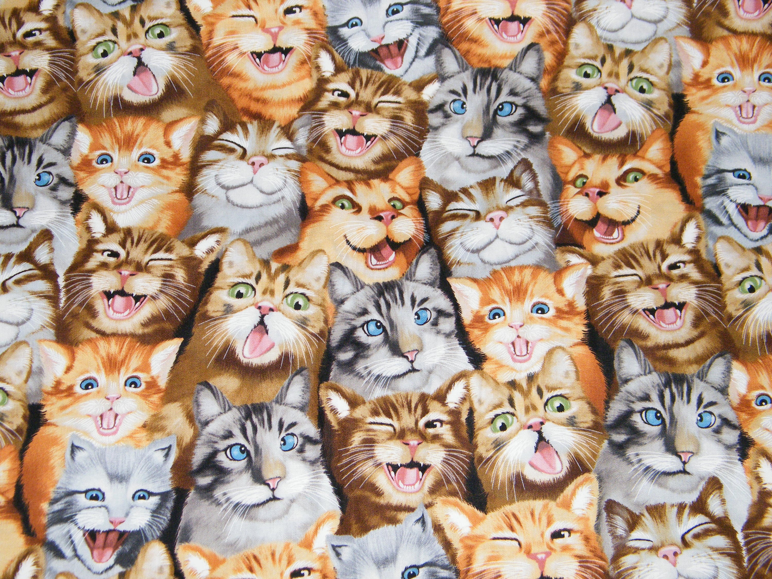 Timeless Treasures Playful Cats Kittens Packed 100/% cotton fabric by the yard