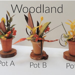 May include: Three terracotta pots with woodland-themed arrangements. Pot A features dried leaves, twigs, and berries. Pot B has yellow flowers, dried leaves, and twigs. Pot C has green leaves, yellow flowers, and twigs. Each pot is on a wooden slice.