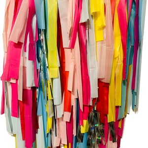 Ready to ship: rainbow streamer party backdrop | bachelorette party | birthdays | rainbow | groovy party