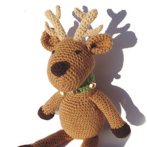 Reindeer image 1